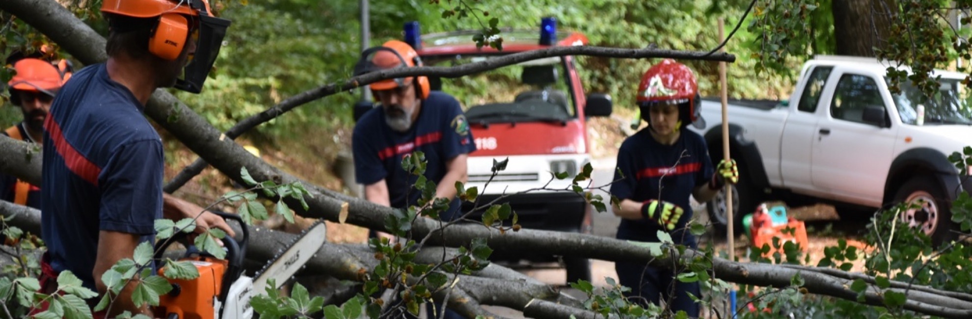 Raffiche Di Vento E Alberi Caduti Una Notte Di Temporale Ticinonline