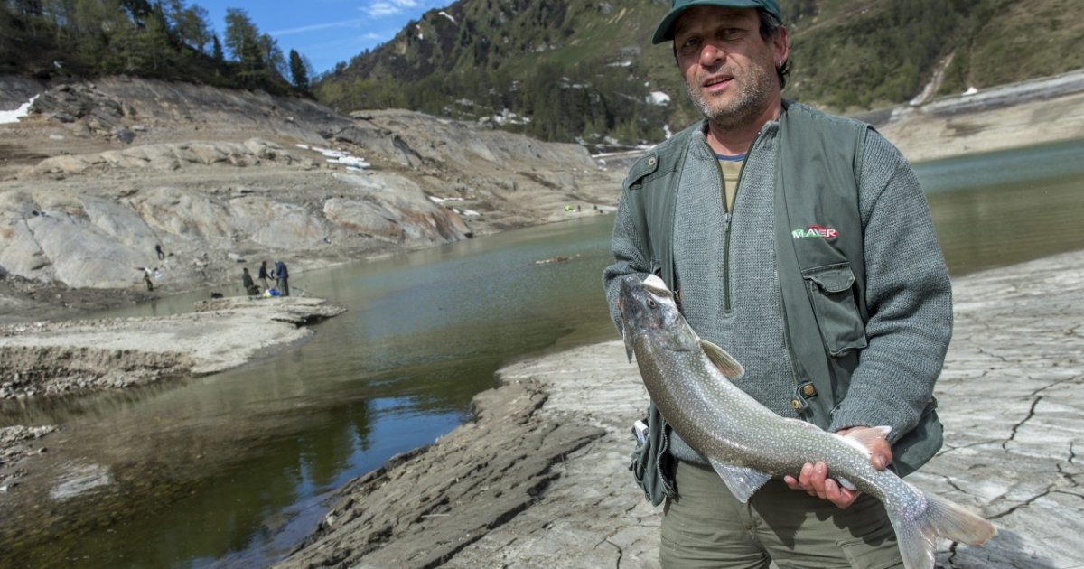 Pesci Predatori In Tre Laghi Si Pesca Con Due Canne Ticinonline
