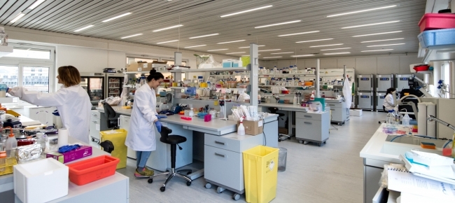 L Istituto Oncologico Di Ricerca Inaugura I Nuovi Laboratori Ticinonline