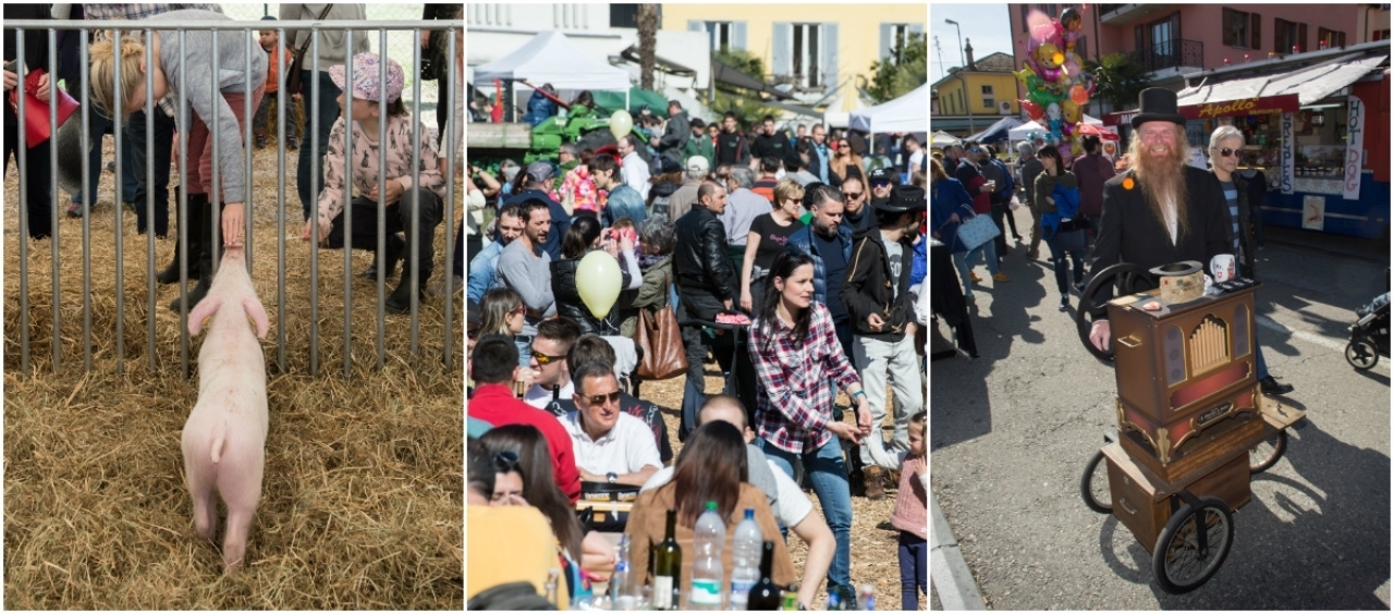 Una Fiera Di San Provino Baciata Dal Sole Ticinonline