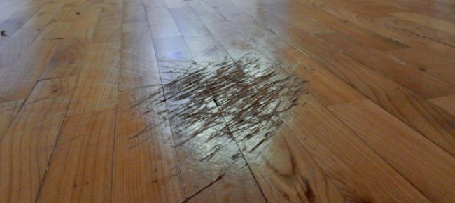 Ticinonline mi hanno rigato il parquet: e adesso chi paga? Levigare il parquet senza togliere i mobili