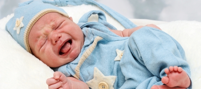 Regolamento inquilini ticino Regolamento inquilini ticino