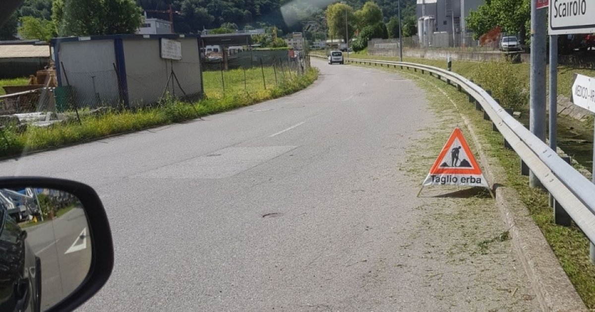 Un Gatto Morto Sul Ciglio Della Strada Ticinonline