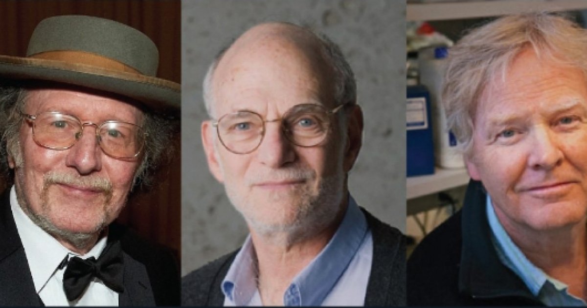 трое профессоров или три профессора