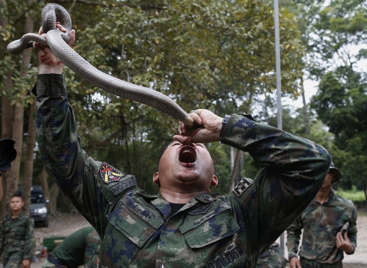 Bere Il Sangue Di Serpente E Mangiare Scimmie Le Prove Estreme Dei Soldati