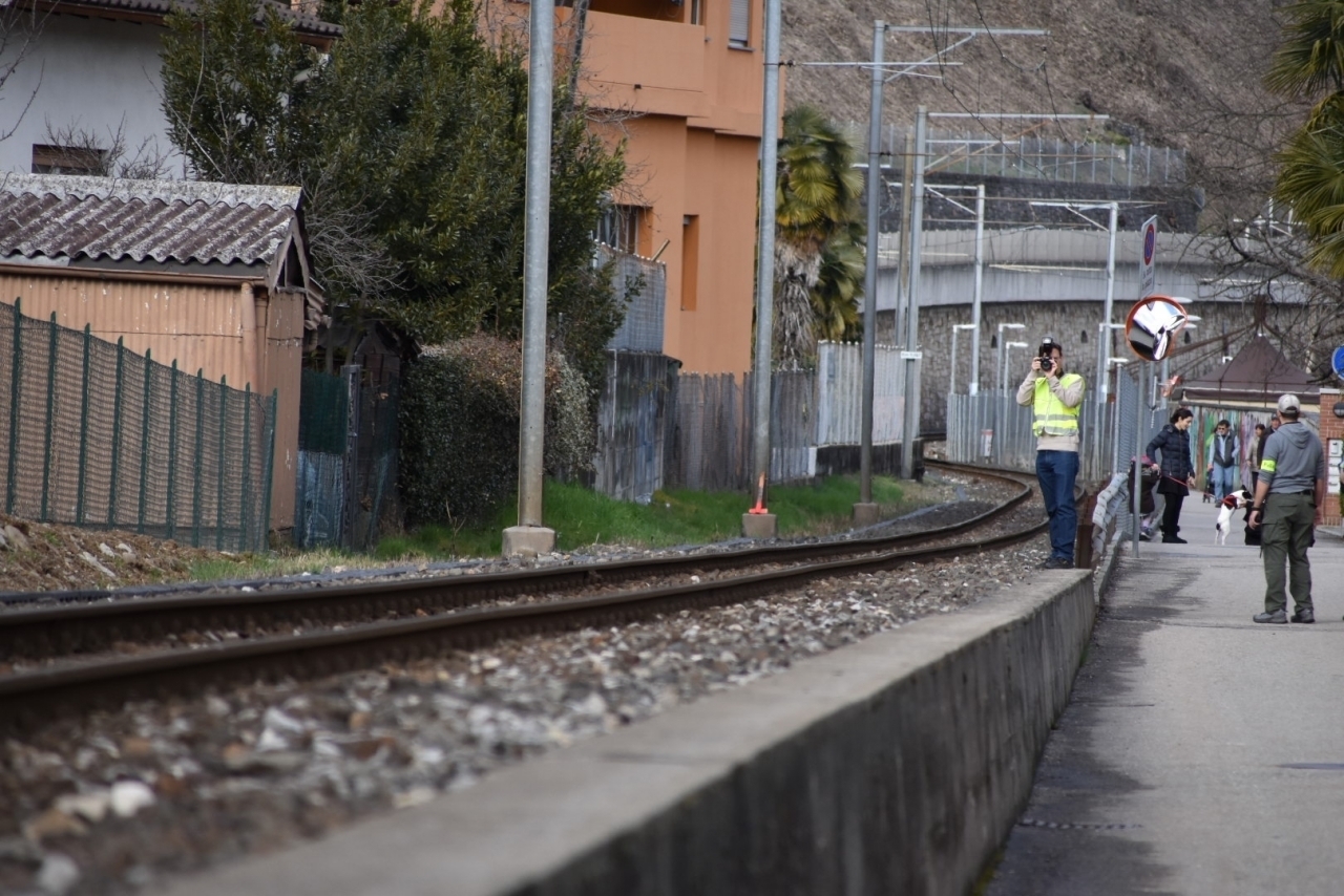 Ticino 24 - Tutte le notizie dall'Italia per il Canton Ticino - Croveo:  riapre il Treno dei bimbi. E' la 54^ stagione