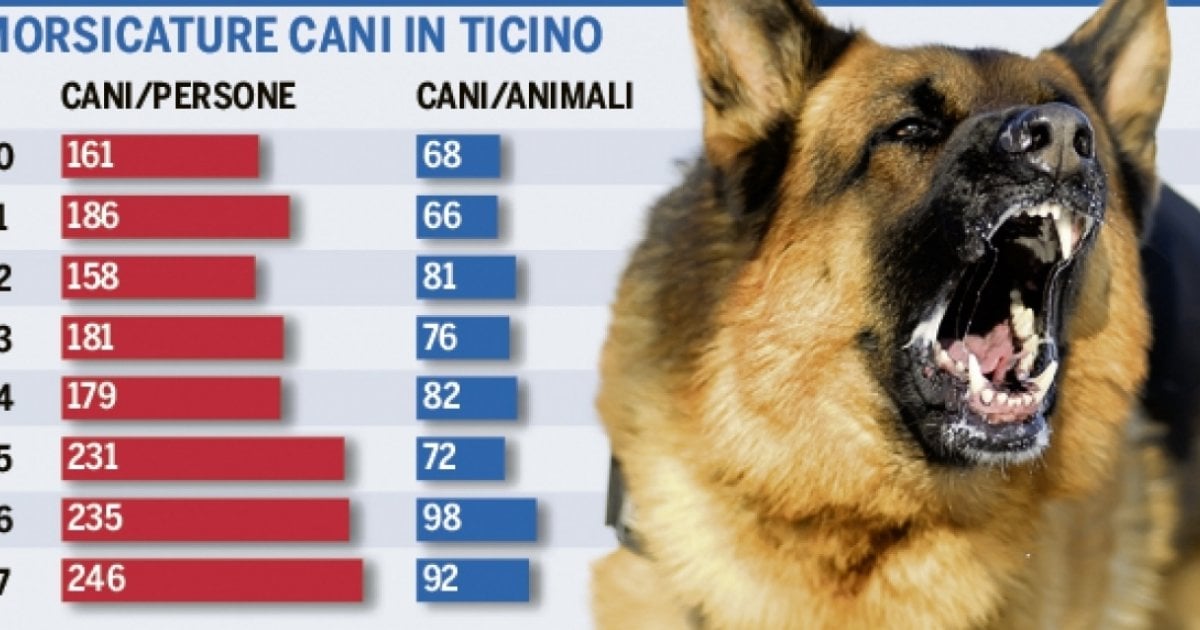 Cani Che Mordono L Uomo Casi In Aumento Ma Ticinonline