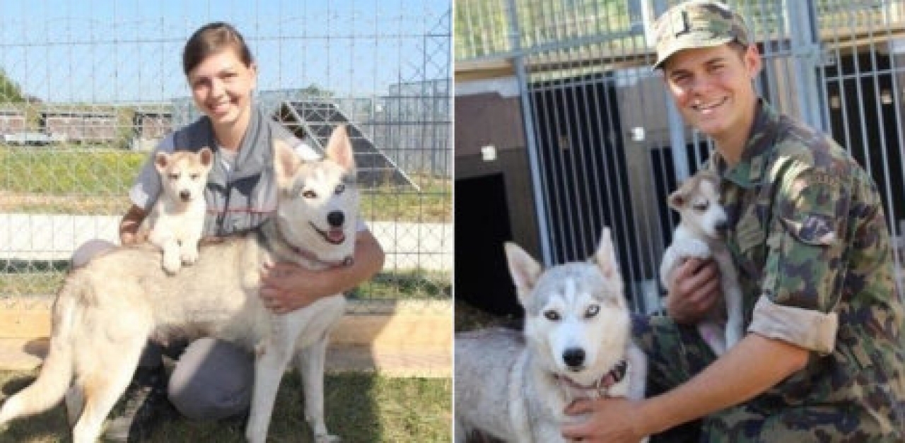 Husky incontri