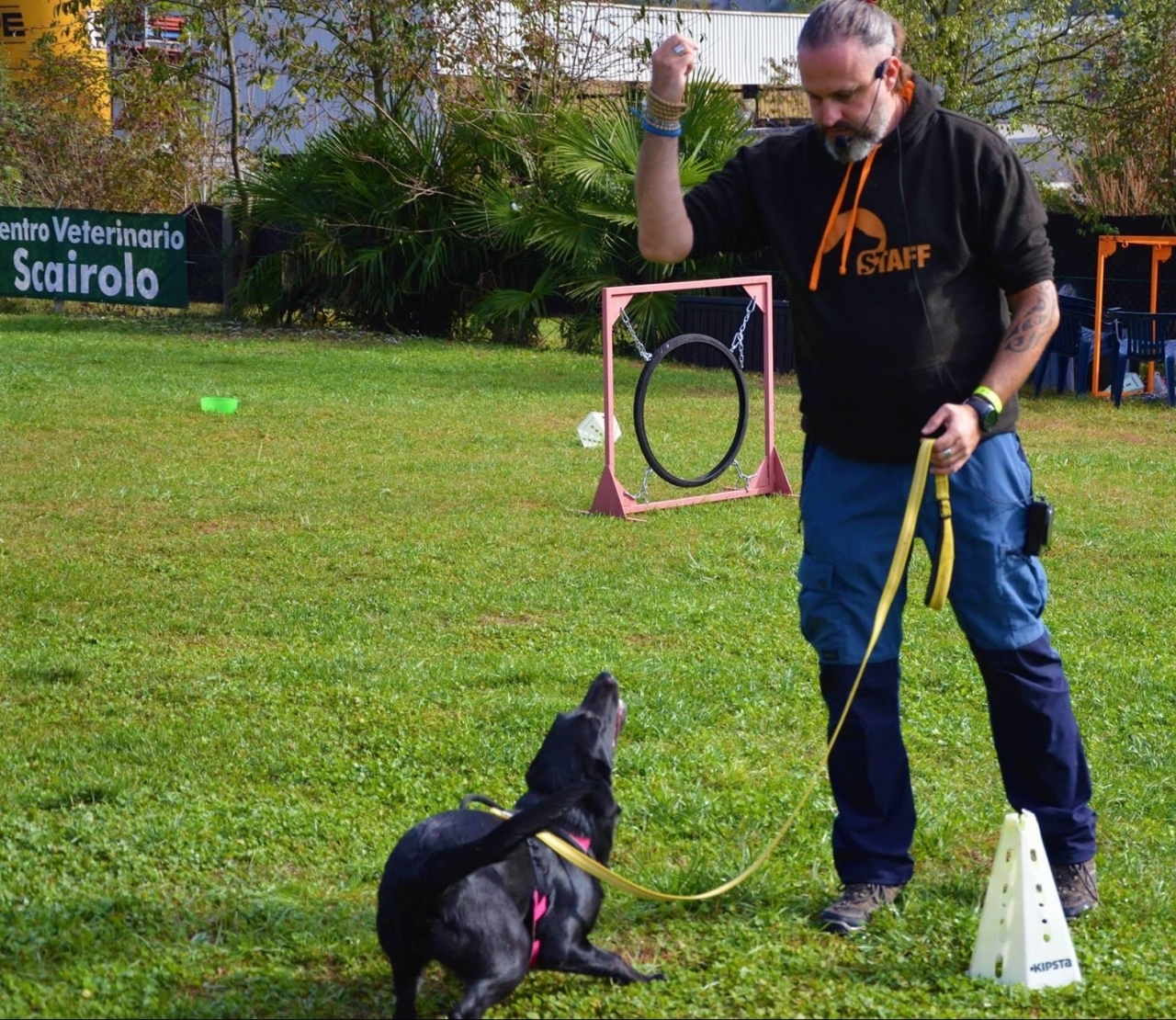 Padroni Sprovveduti E Cani Sempre Più In Tilt Ticinonline