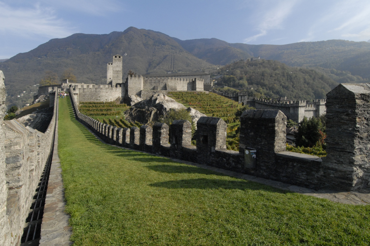 Immagine postata dall'utente