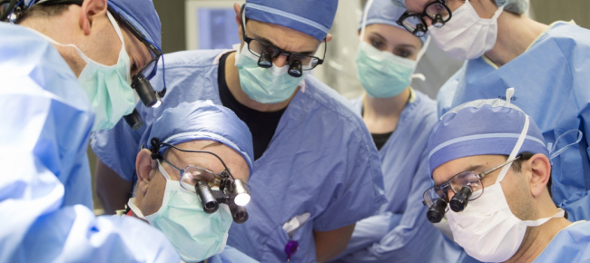 Espianto Automatico Degli Organi Per Legge Se Non Vuoi Lo Dovrai Dire Ticinonline