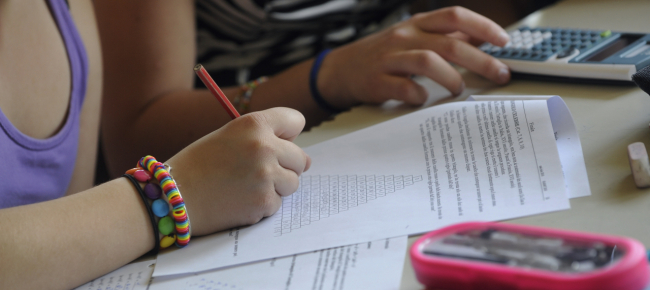 Maledetta Matematica Troppe Lezioni Private Ticinonline