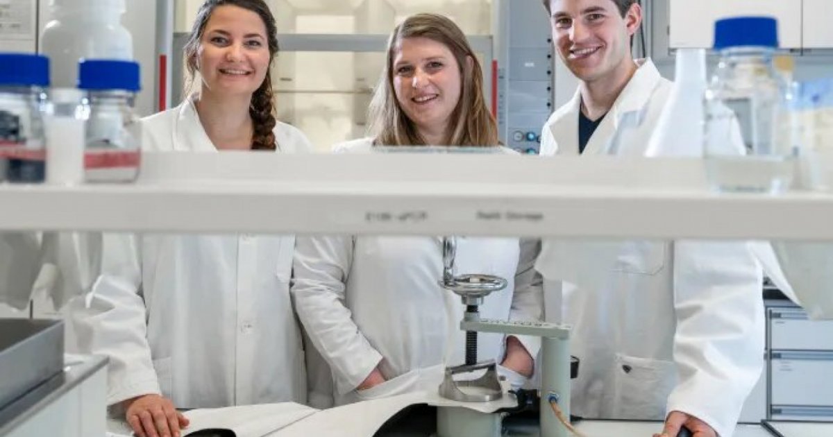 Lab team. Тим лабс. Lab team. Синтелли отзывы сотрудников. Lab team.