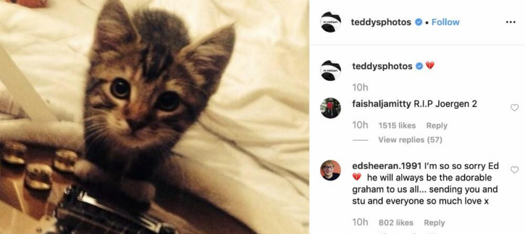 Incontri annuncio i Love Cats