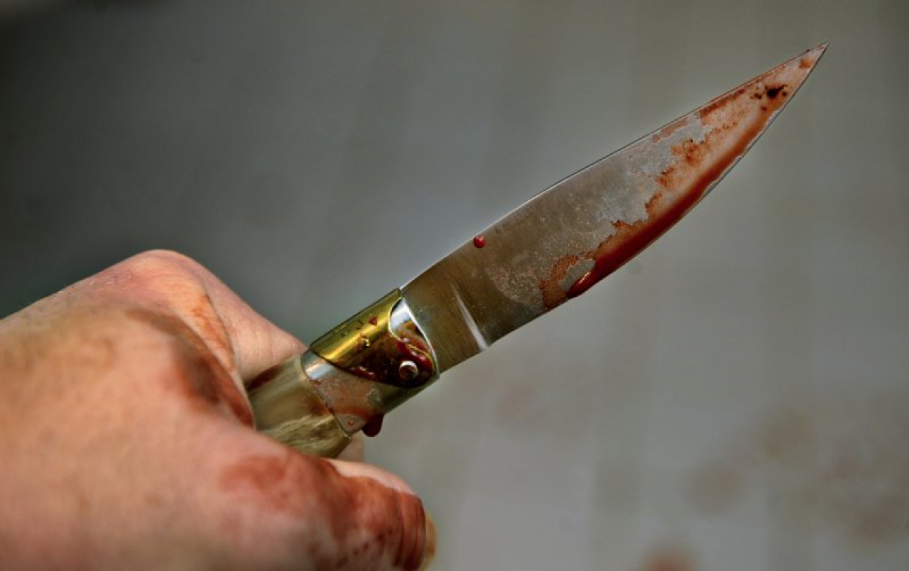 Uccise il partner con una coltellata al petto, condannata una 28enne - Ticinonline