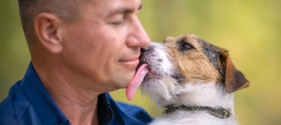 Si Fa Leccare Dal Cane 63enne Muore Nel Giro Di Un Paio Di Settimane Ticinonline