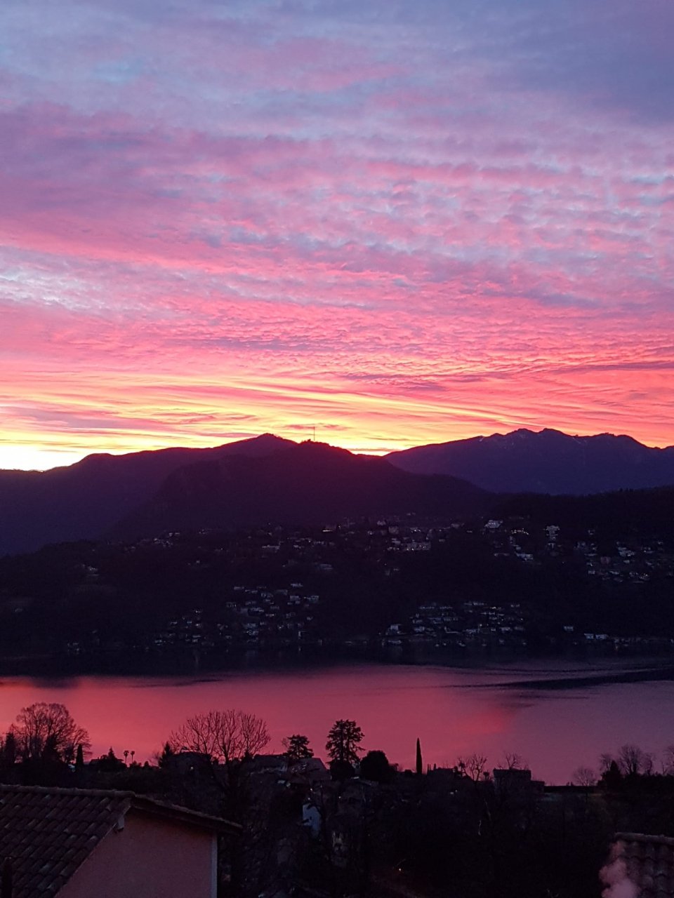 Un Buongiorno Tinto Di Rosa Ticinonline