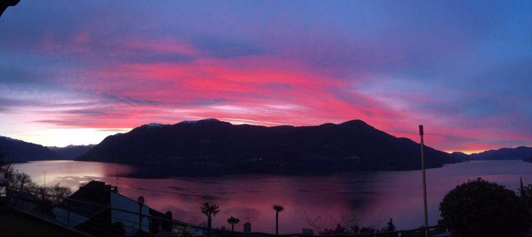 Un Buongiorno Tinto Di Rosa Ticinonline