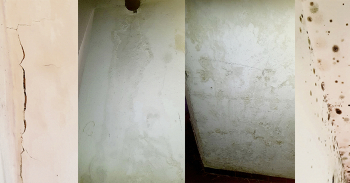 Con muffa e umidità, ci si può ritrovare in trappola ...