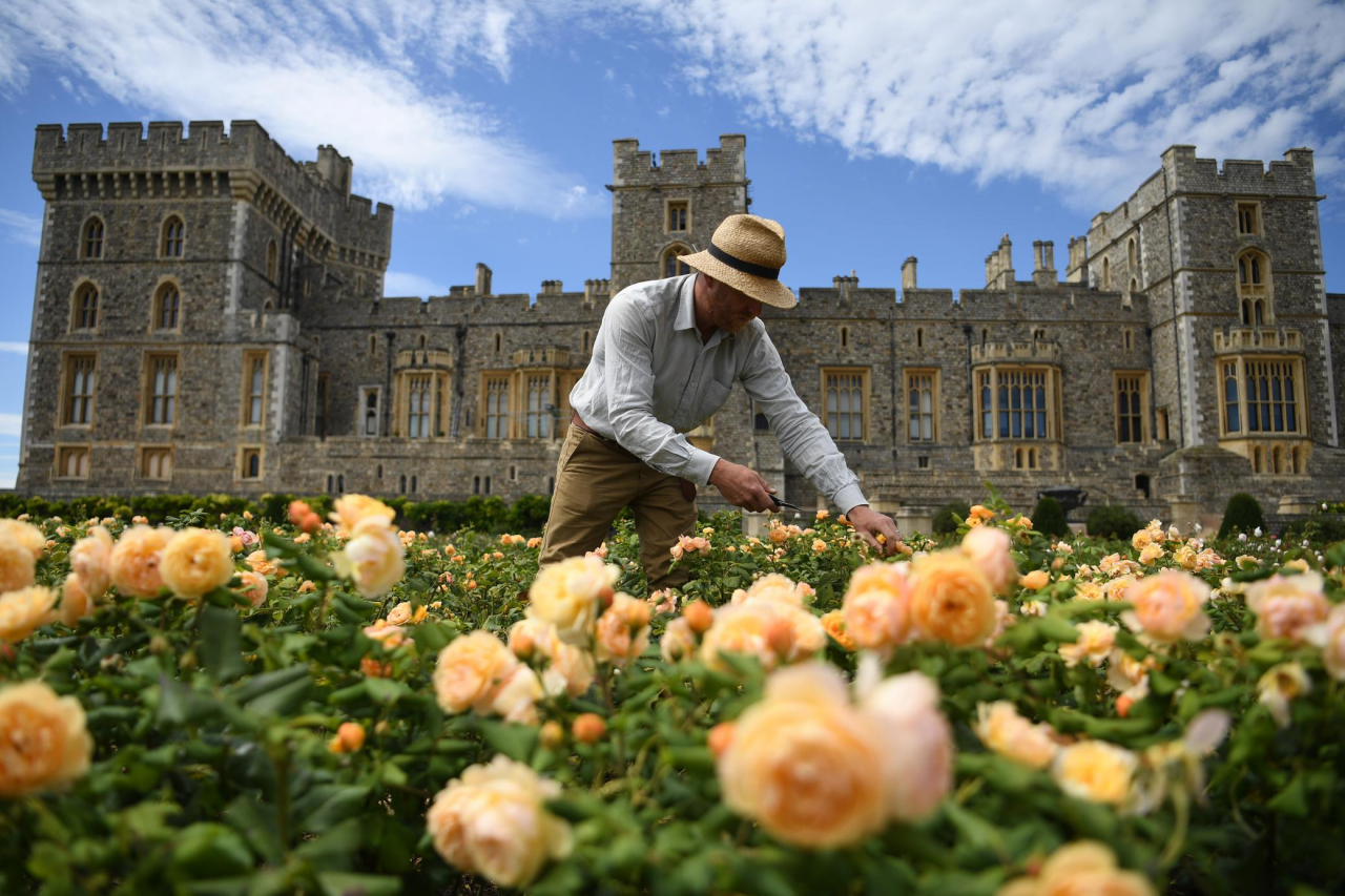 I giardini di Windsor riaprono al pubblico, dopo 40 anni