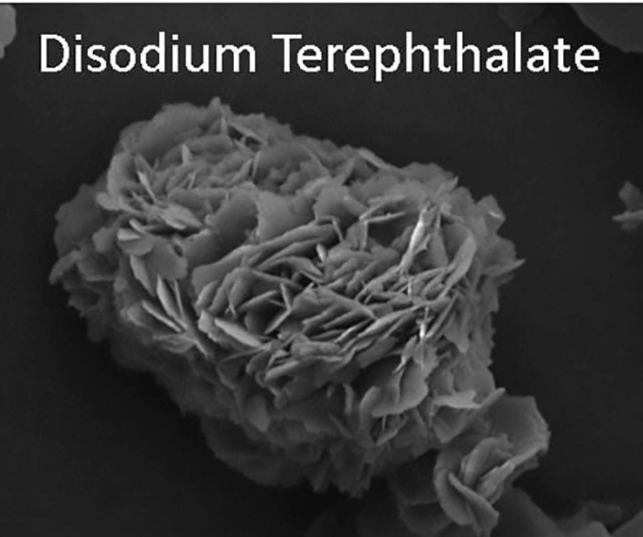 Dal PET agli elettrodi per batterie: scoperta una nuova tecnica per il  riciclo della plastica - Ticinonline