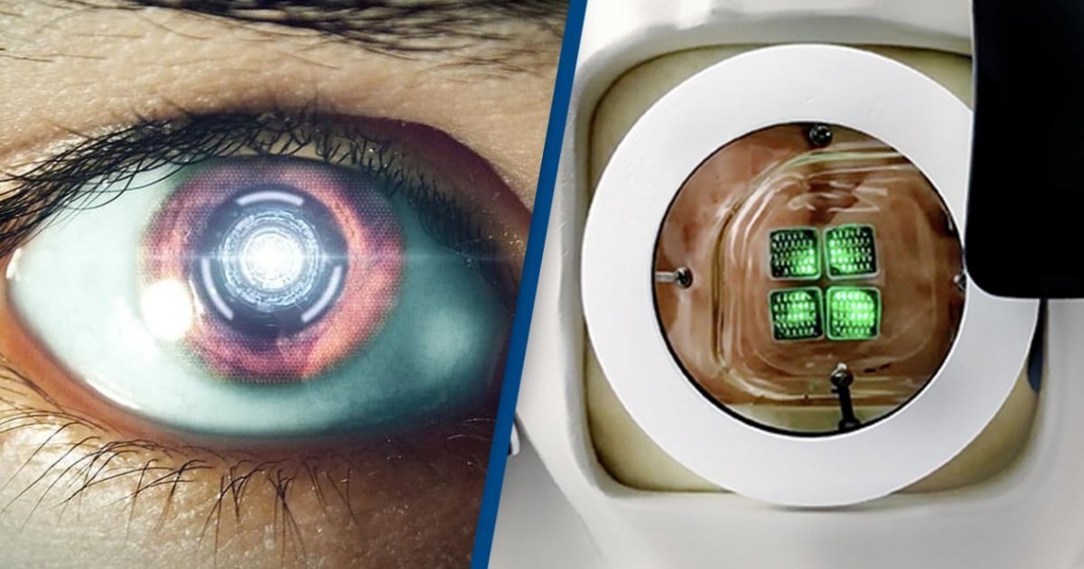 Заменить глаза на фото Заменить глаза на фото