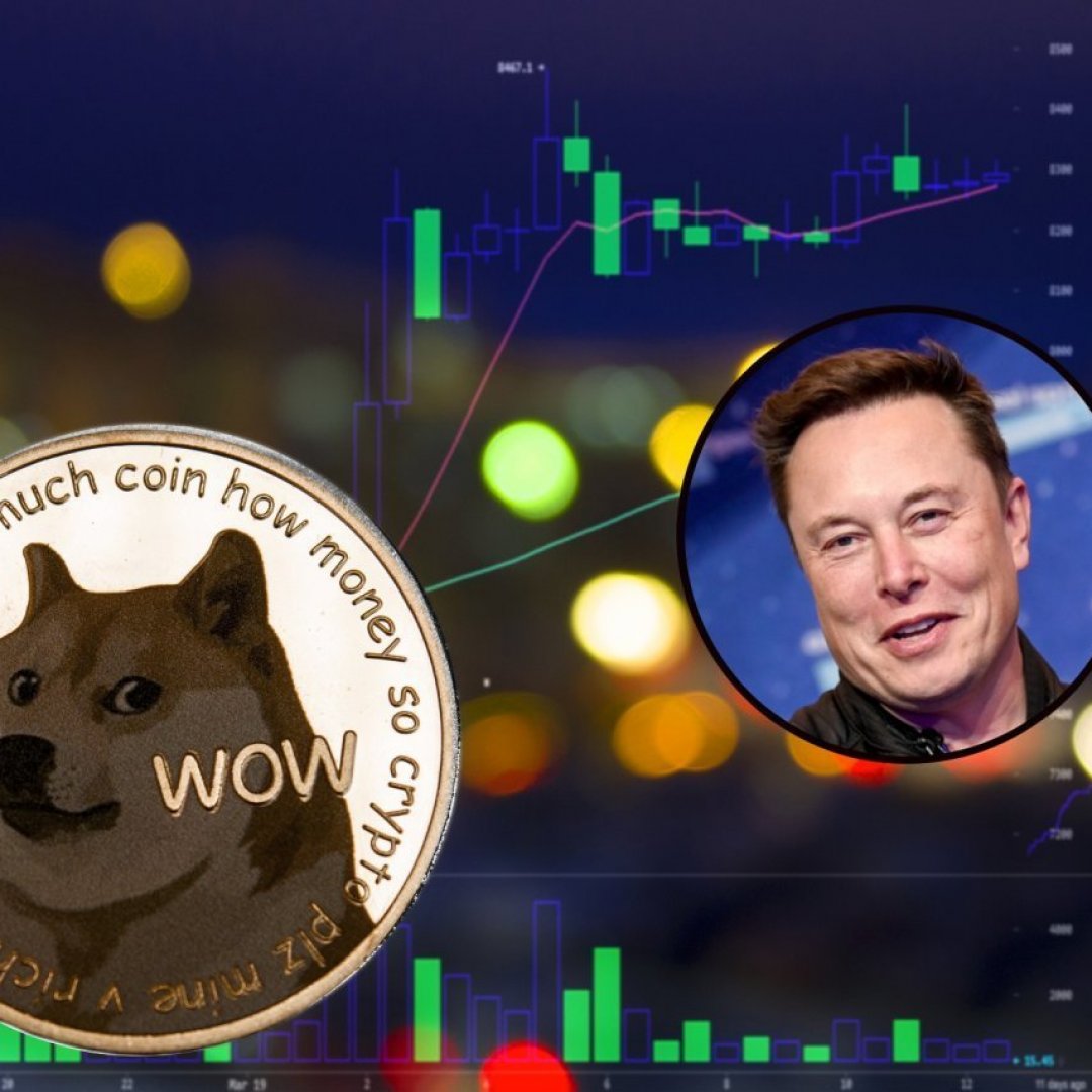 Elon Musk Ne Parla E Il Dogecoin Va Giu In Picchiata Ticinonline