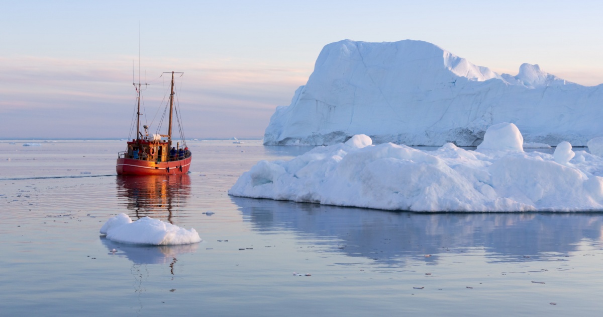 Tessuto Da Parati Colore Tabacco Leaves • Misha - Foto 9