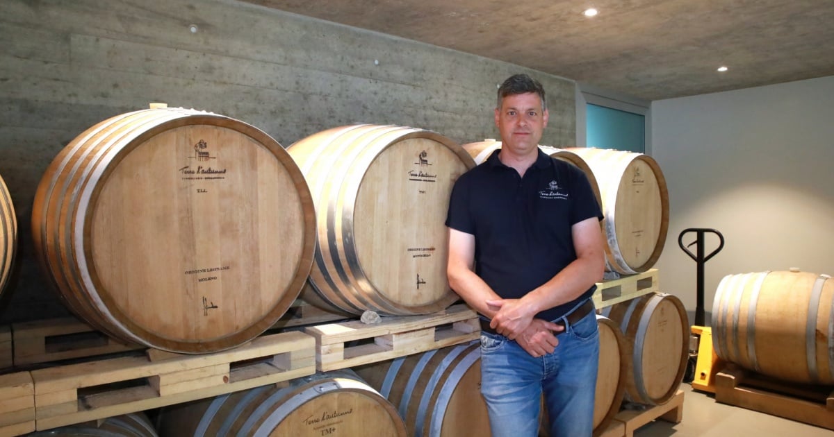 «Il mio vino, affinato in botti 100% made in Ticino»
