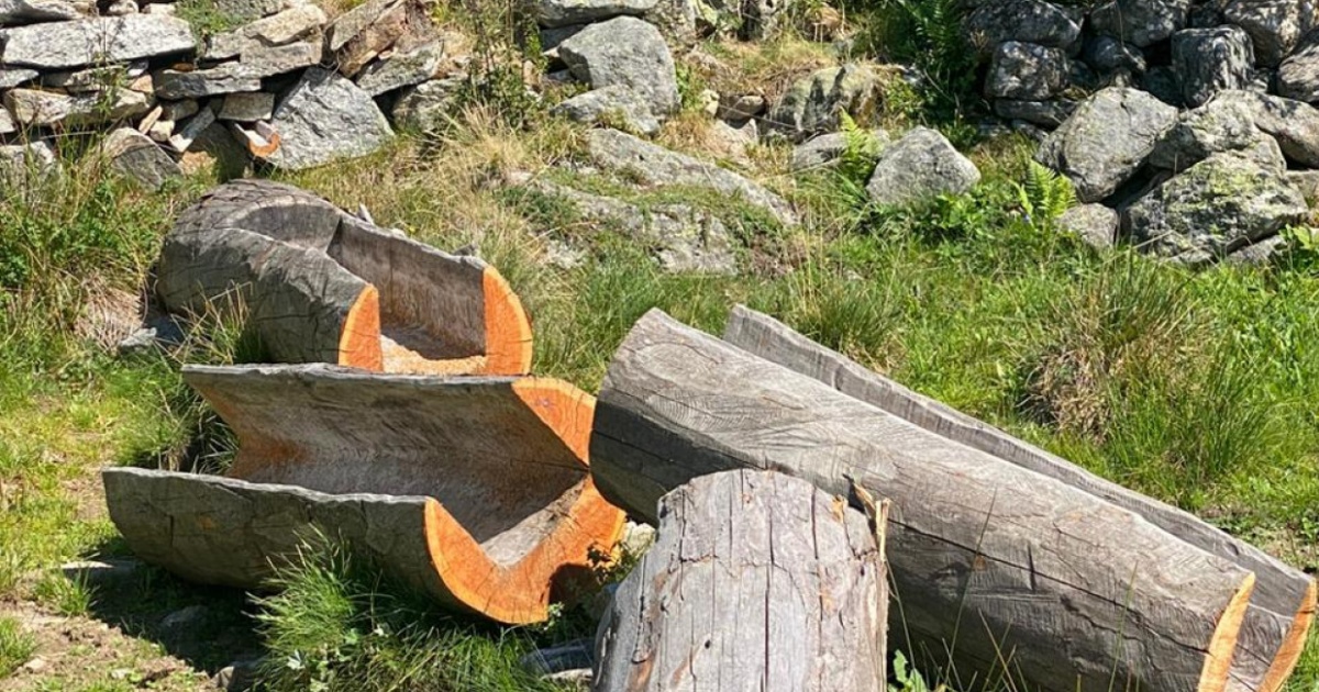 Vandalizzato un abbeveratoio per mucche