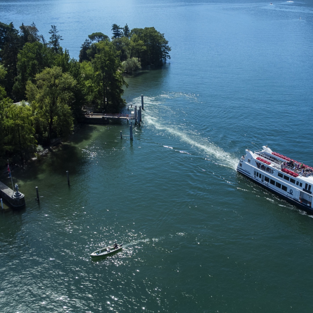 Rabbia alle Isole di Brissago e nel Gambarogno