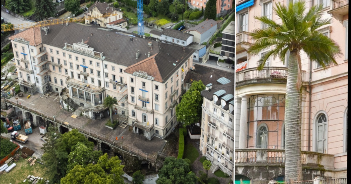 In lutto per una palma rara: «Ferita vera», la replica: «Non una decisione presa a cuor leggero»