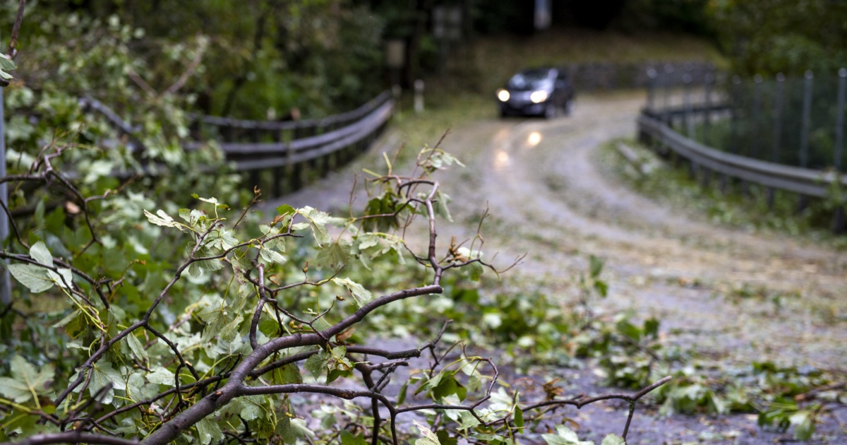 Raffiche fino a 100 km/h, anche in pianura: scatta l'allerta