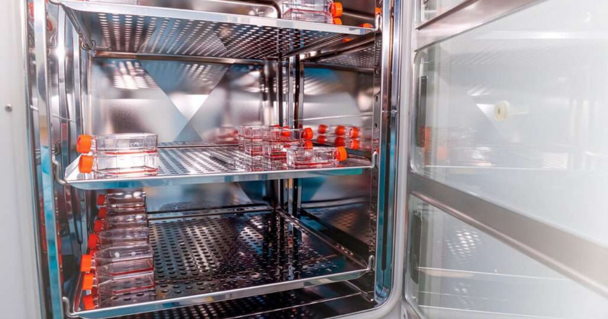 La popolazione invecchia e cresce il social freezing