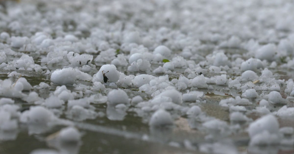 Non solo in Ticino: anche a Turgovia ha grandinato parecchio