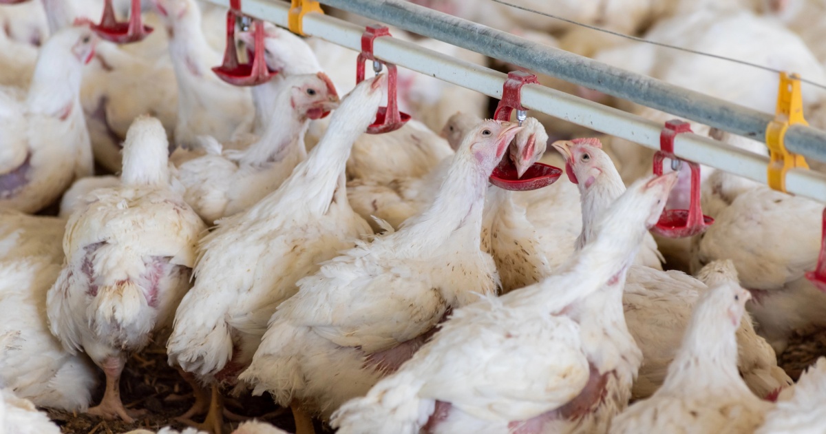 Dal Cantone via libera al nuovo 