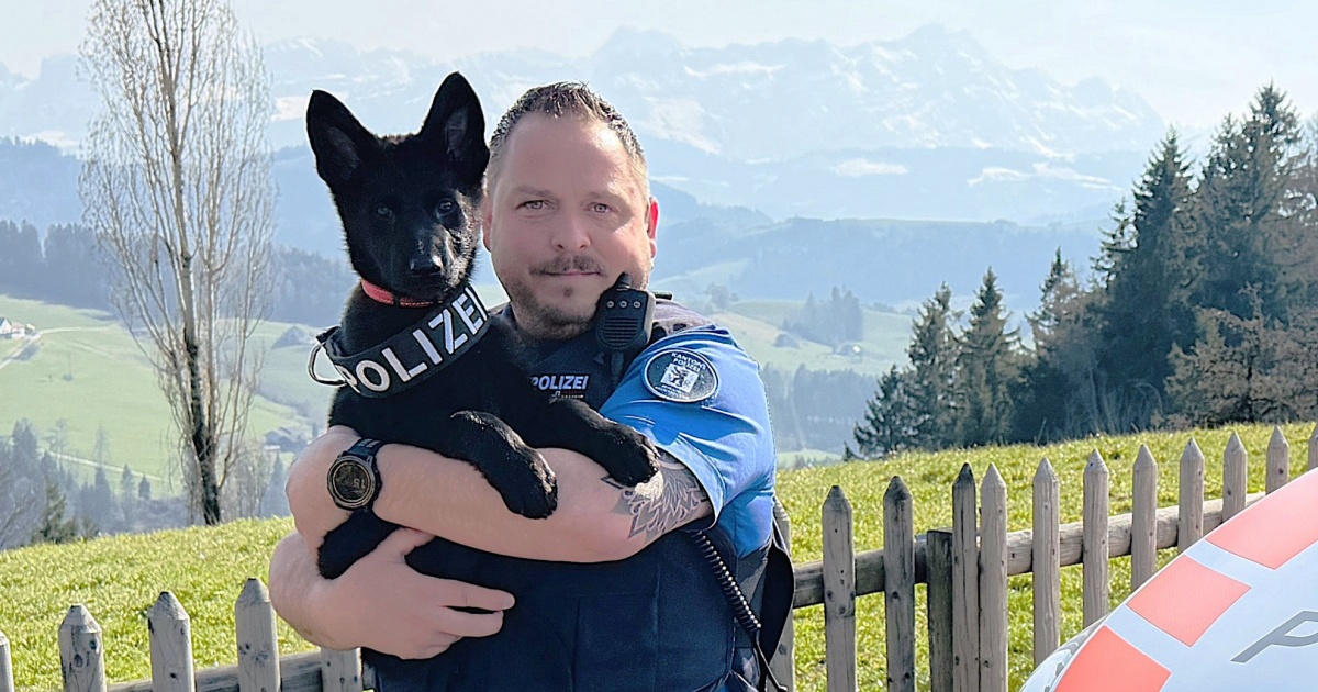 Ecco Vocs, la nuova recluta della Polizia cantonale