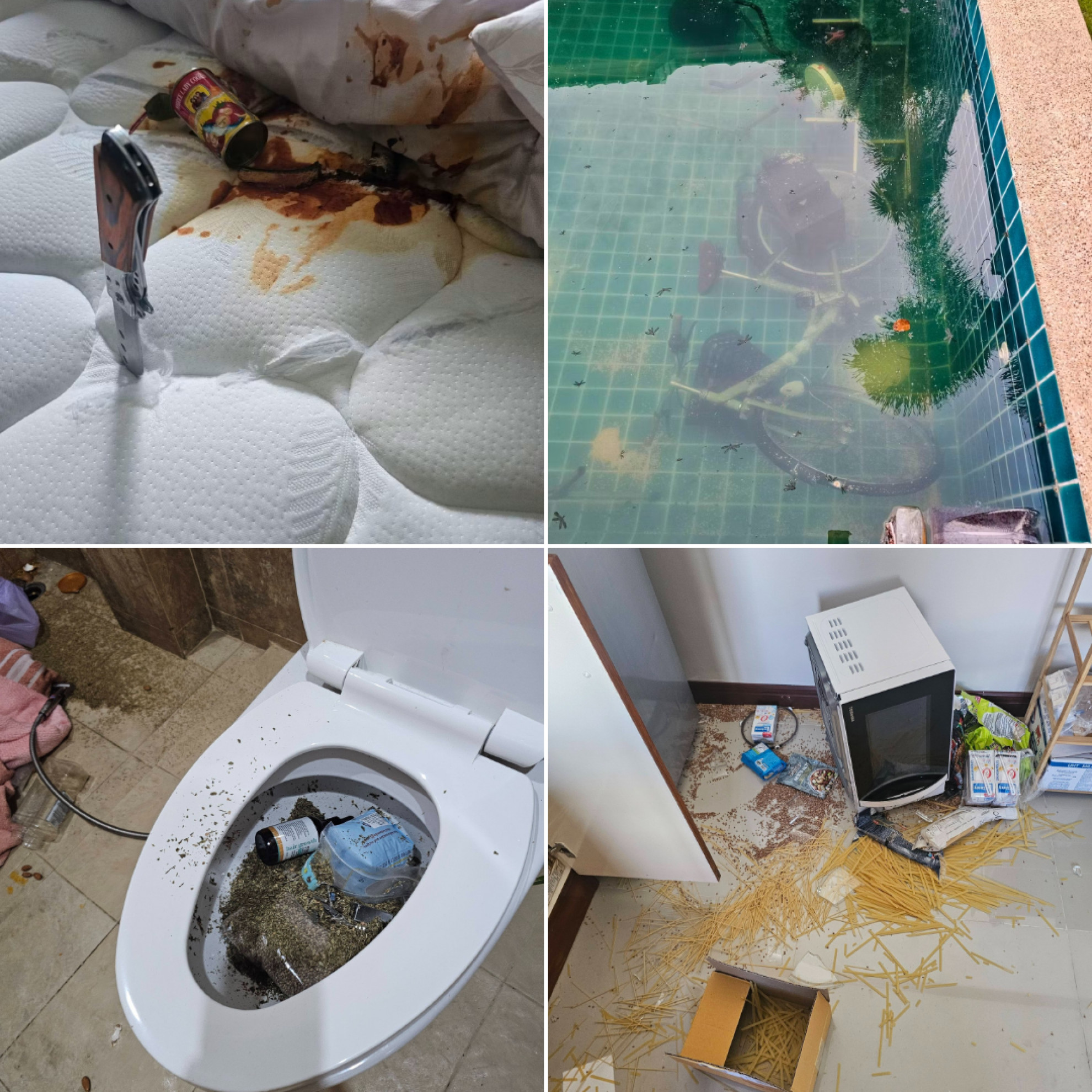 Svizzero devasta una villa in Thailandia: rifiuti ovunque, materassi tagliati ed elettrodomestici in piscina
