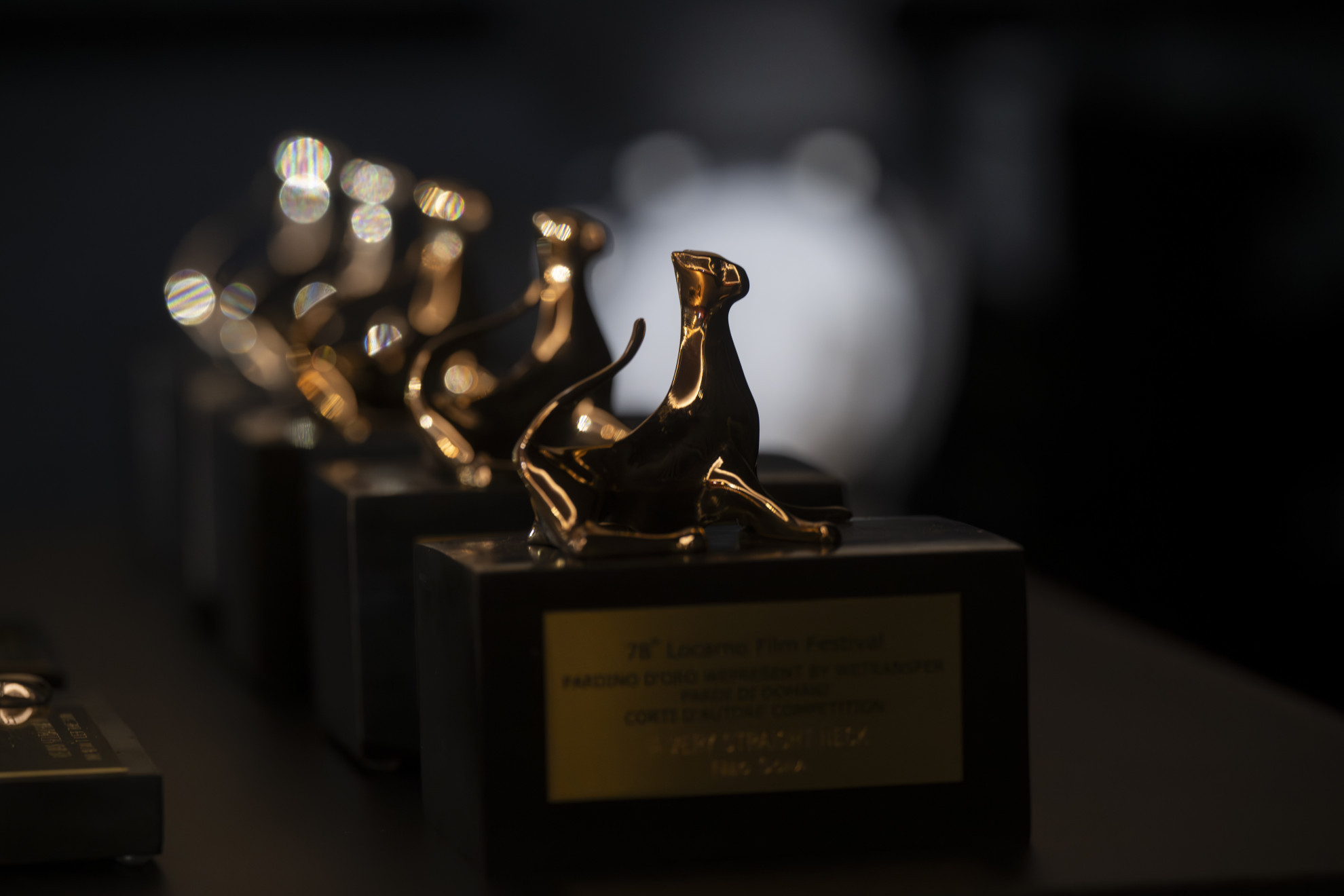 In un documentario la storia alternativa del Locarno Film Festival