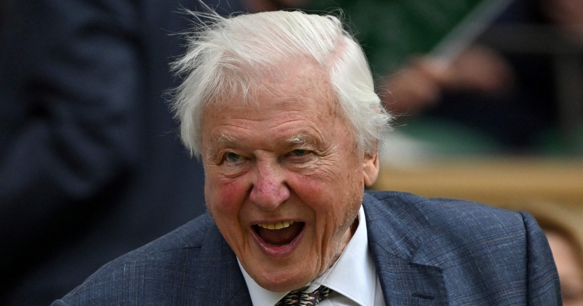 Sir David Attenborough compie 100 anni: «Commosso dagli auguri»