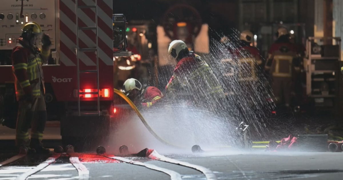 Fiamme nella notte: devastata la struttura di una fondazione sociale