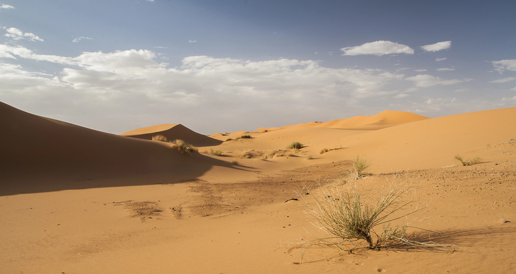 Sahara, quasi 50 morti per disidratazione dopo un guasto a un camion