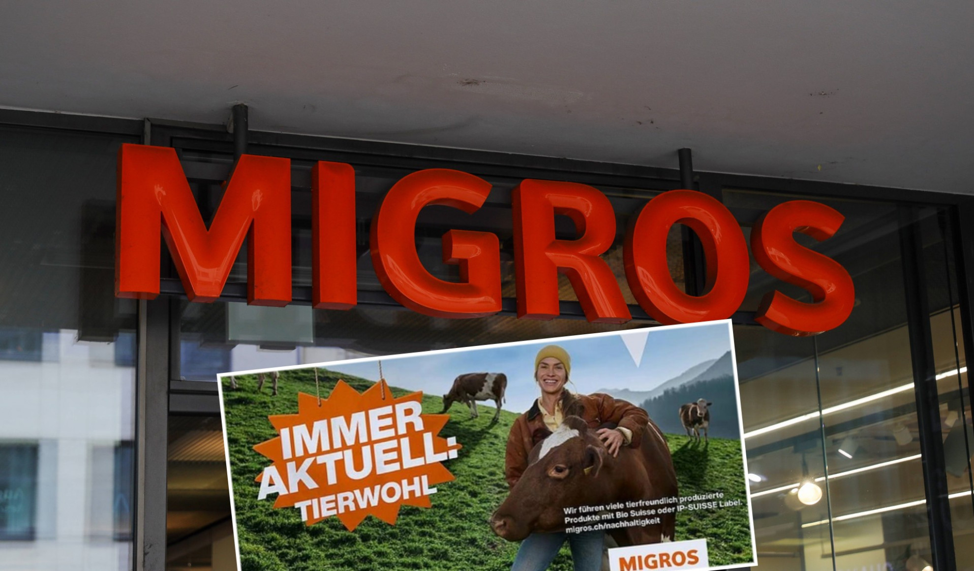 Animalisti contro la pubblicità Migros: «Altro che benessere