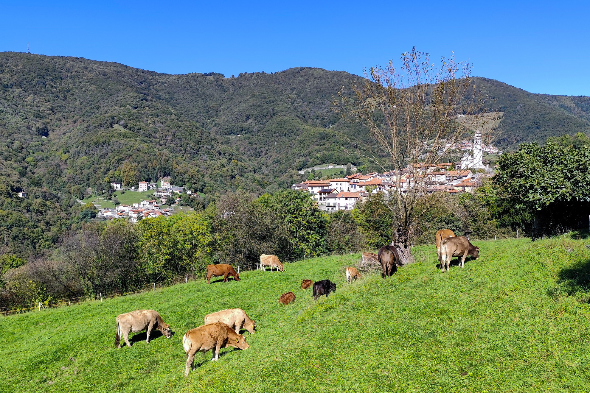 Valle di Muggio, Comuni in rivolta: «No alla chius