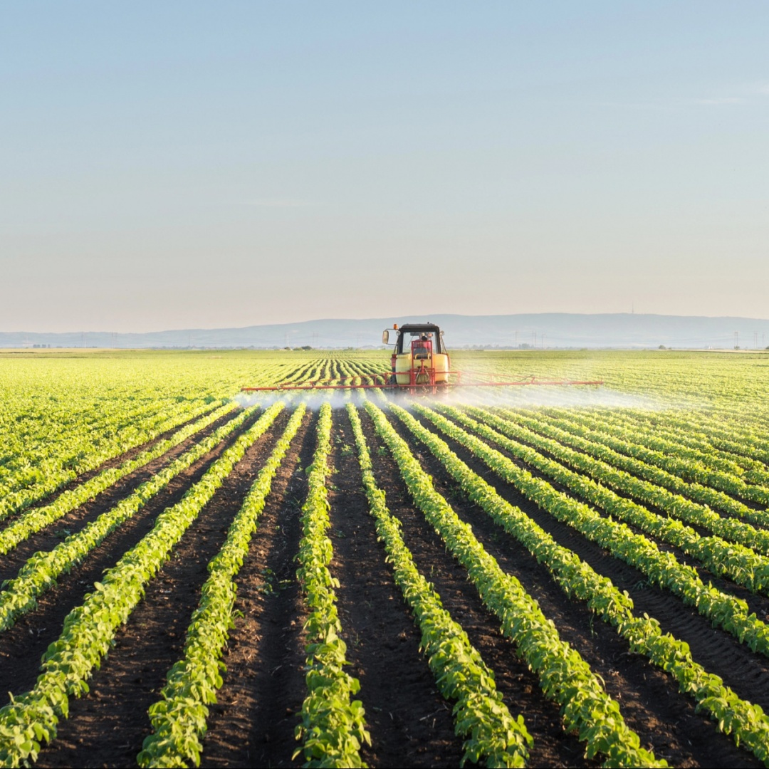 Biodiversità in pericolo: l’impatto nascosto degli oli vegetali secondo ETH Zurigo