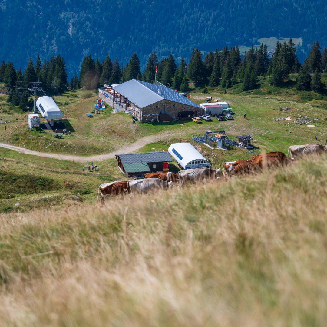 Carì apre l’estate 2026: e-bike, musica e avventure tra le montagne