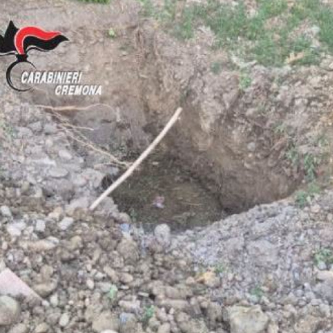 I suoi cani abbaiavano troppo: il padrone li uccide e li seppellisce