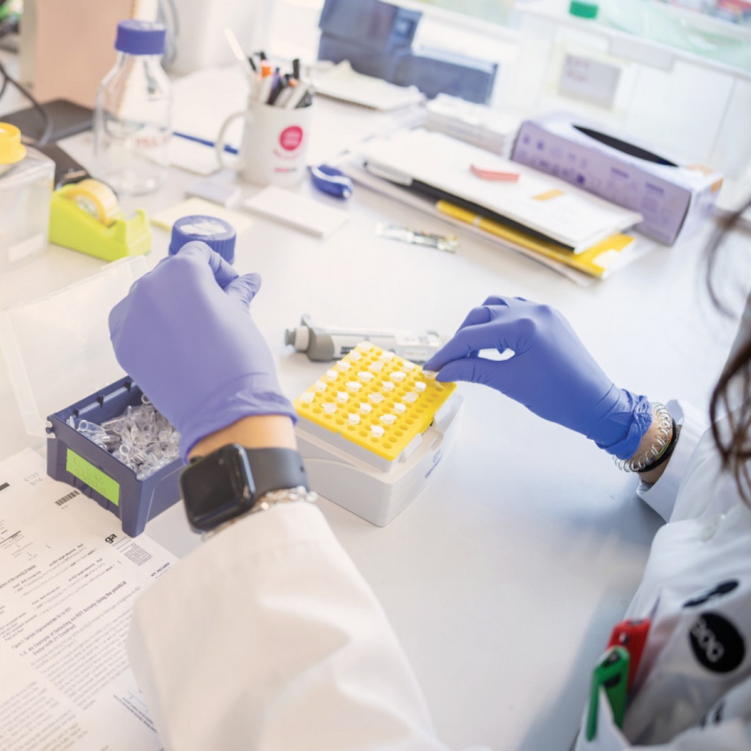 Il primo anno dell’Istituto di ricerca traslazionale