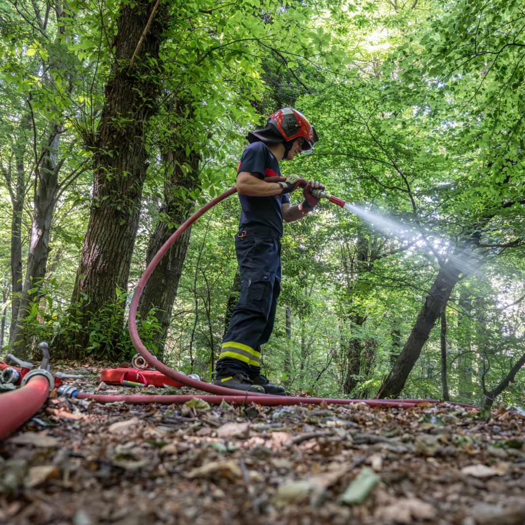 Incendi boschivi, i capi gruppo si formano sul campo