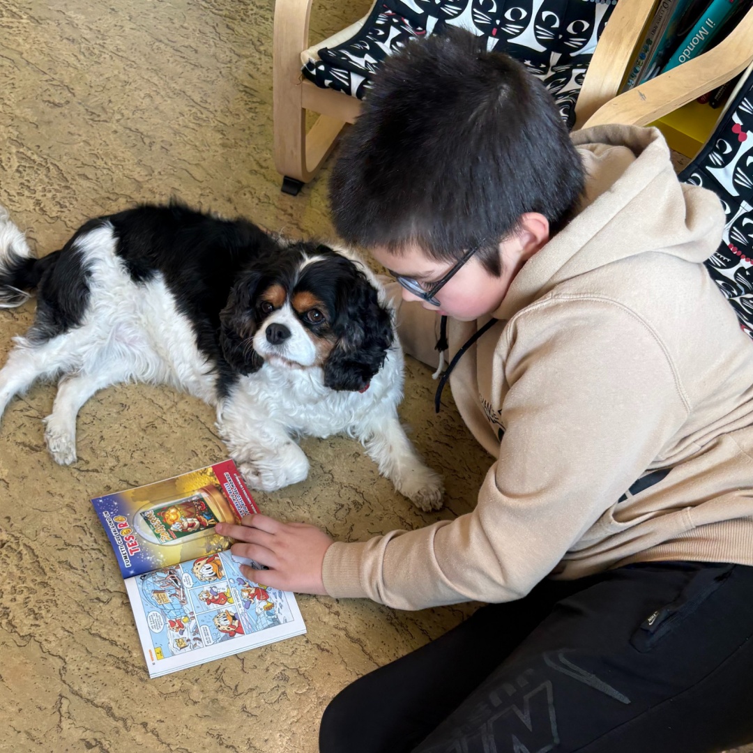 Un cane tra i banchi: con Isotta la lettura diventa più facile